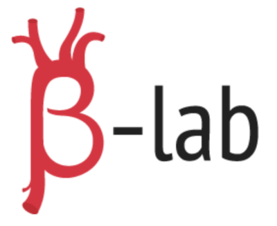β-lab – Biomechanics for Endovascular Treatments of the Aorta